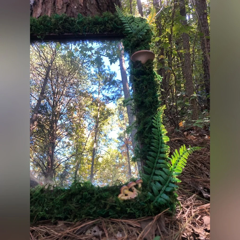Fairy Moss Mushroom Mirror